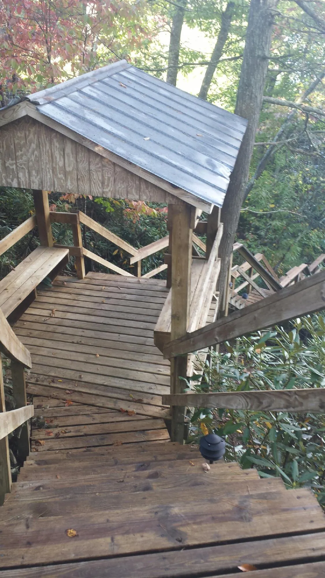 Metal roofed shelter over wooden steps on a wooded walkway — Skylight Repair & Installation work by our crew in Mayfield